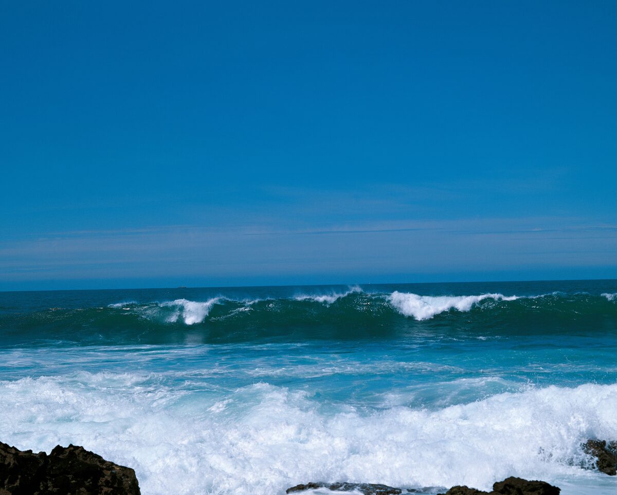 1.  Língua Portuguesa - Um Oceano de Culturas